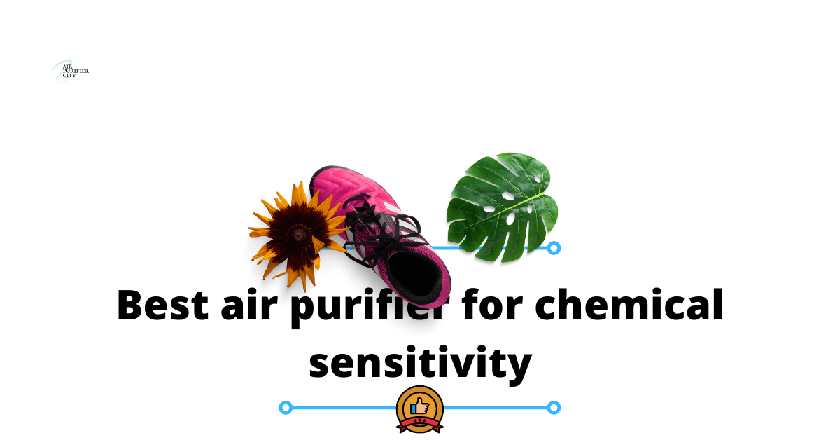 best-air-purifier-for-chemical-sensitivity-faqs-detailed-review