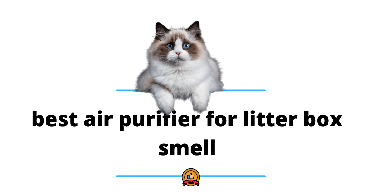 best air purifier for litter box smell