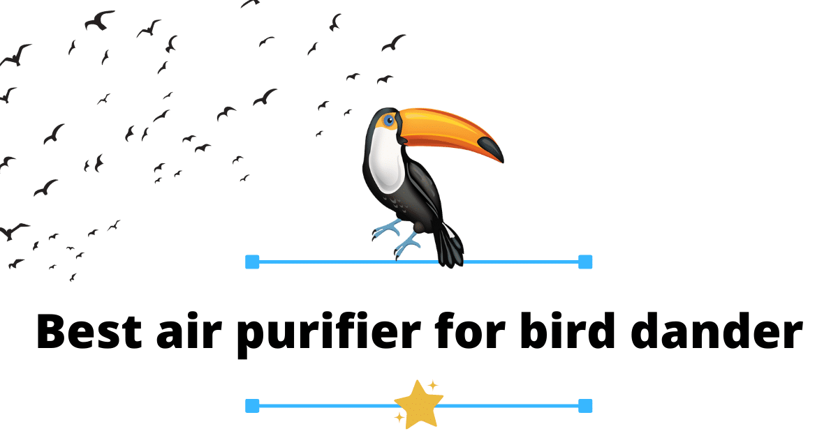 Best air purifier for bird dander