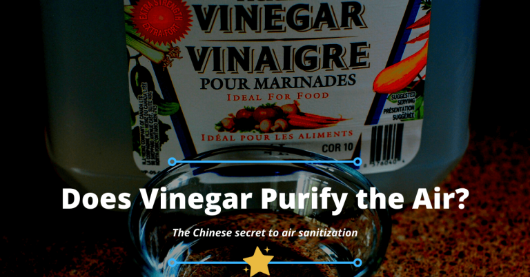 Does Vinegar Purify the Air